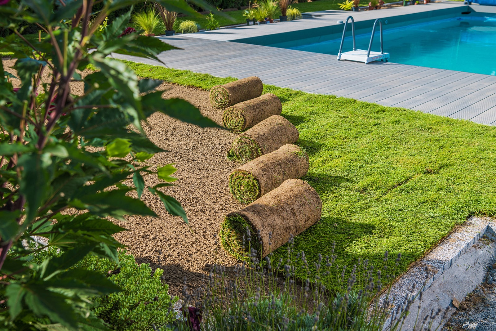 Rolls of grass being rolled out next to a pool